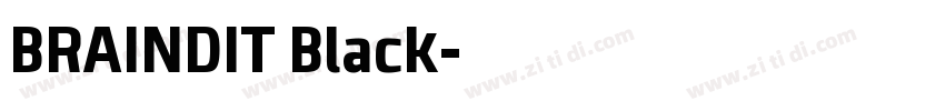 BRAINDIT Black字体转换